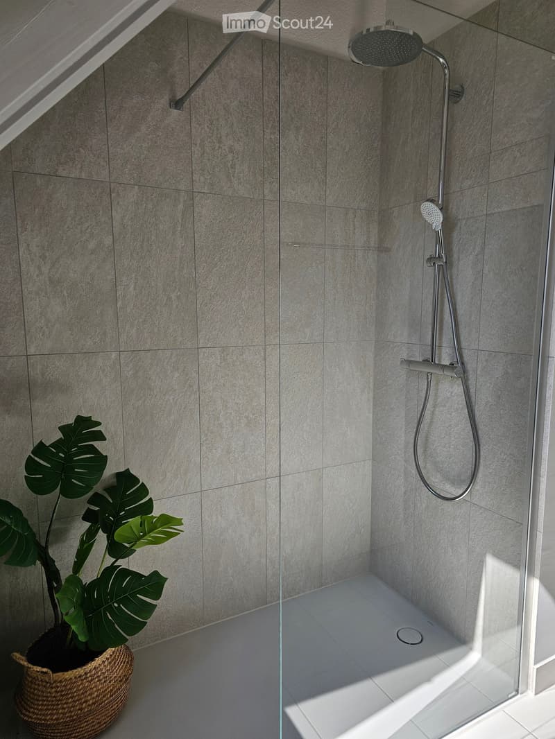 3 1/2 room attic apartment in Hombrechtikon (6)