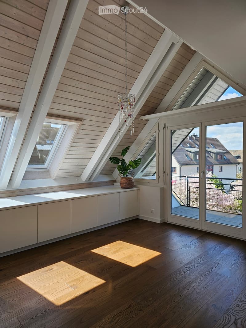 3 1/2 room attic apartment in Hombrechtikon (1)