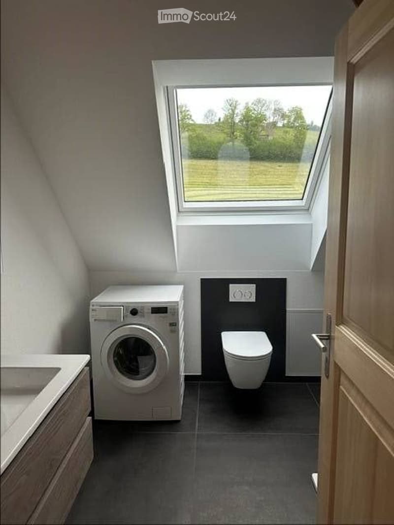 Bathroom with a washing machine, toilet, sink, and cabinet. Skylight provides natural light.