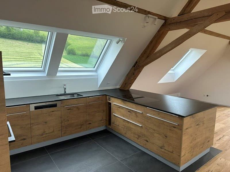 Modern kitchen with wooden cabinets, black countertops, stainless steel sink, and a dishwasher.