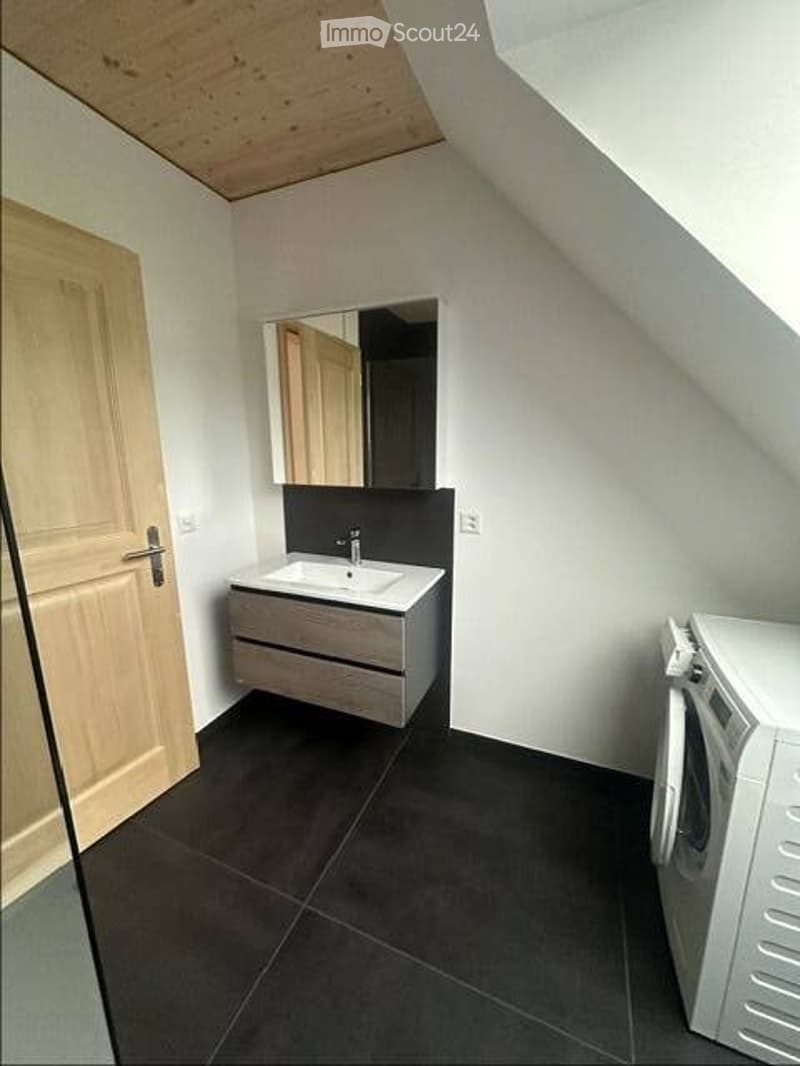 Bathroom with a sink, mirror, washing machine, and wooden door.