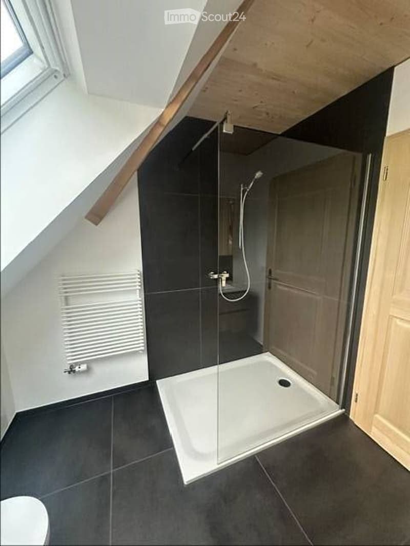 Bathroom with a glass shower enclosure, black tiled floor, and white walls. Includes a shower head and a radiator.