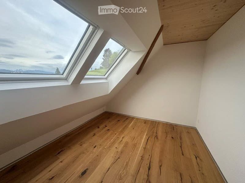 Empty attic room with wooden floor, white walls, and two skylights.