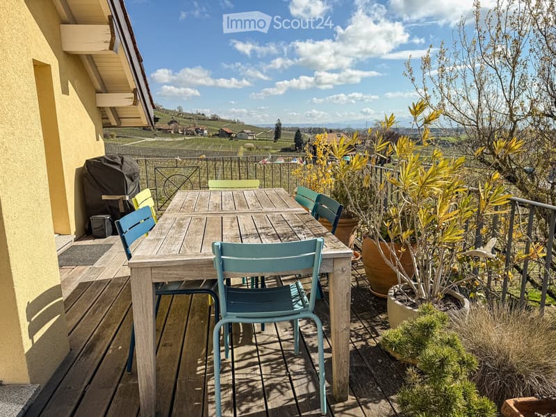 wooden table and chairs, metal railing, potted plants, view of the countryside
