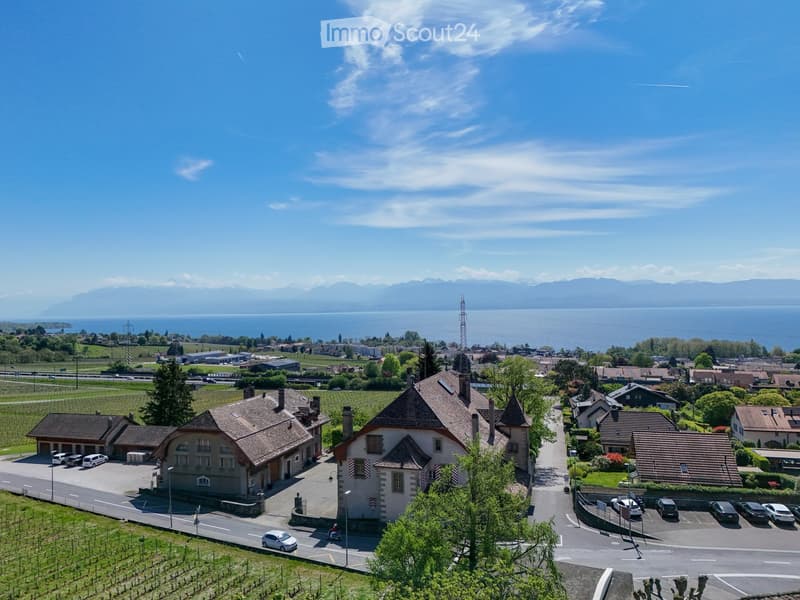 Aerial view of a house with a view of the sea and mountains, surrounded by a vineyard and a road with parked cars.