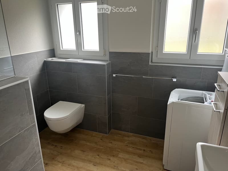 Bathroom. Modern bathroom with dark grey tiles, wooden flooring, toilet, washing machine, and sink.