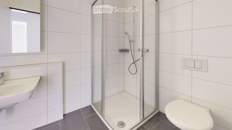 small bathroom, white tiles, silver showerhead, white sink, white toilet