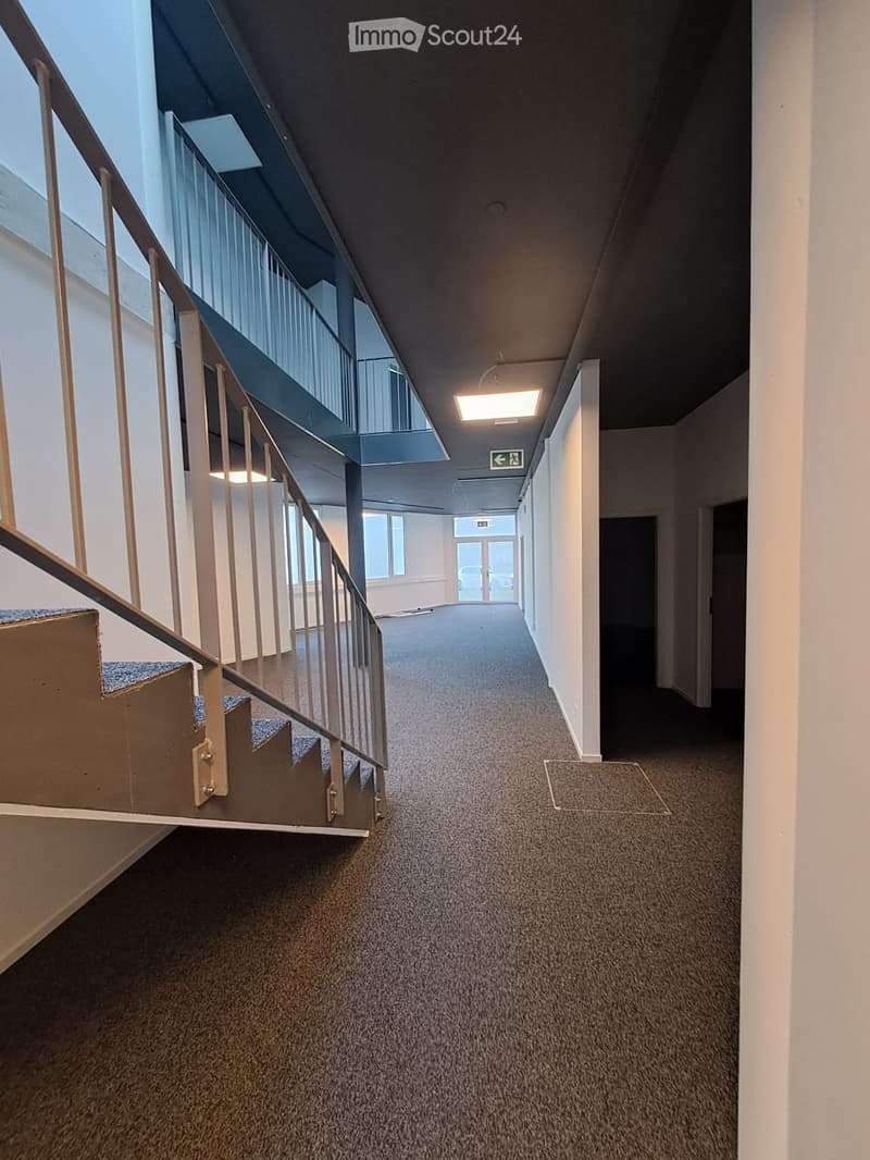 Carpeted hallway with a staircase on the left, white walls, and overhead lighting. The hallway leads to a glass door at the end.