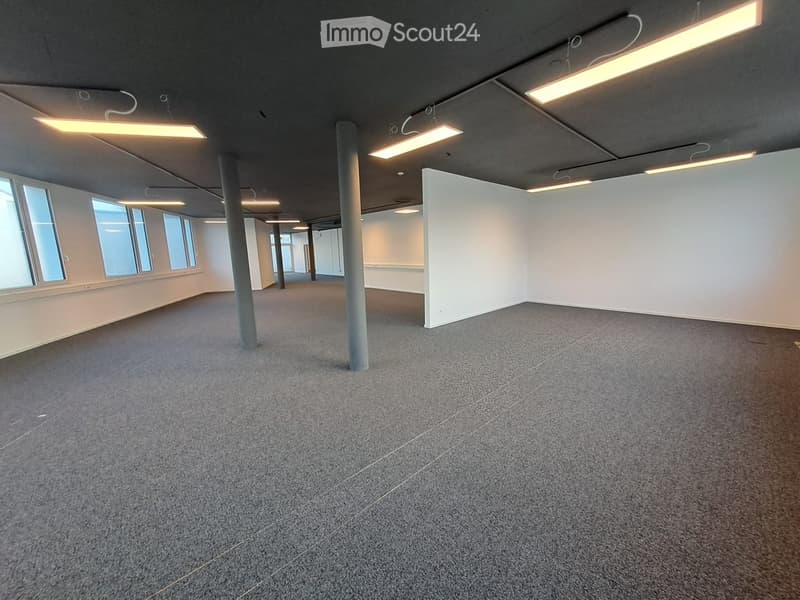 Empty room with grey carpeted floor, white walls, large windows, and industrial-style lighting fixtures.