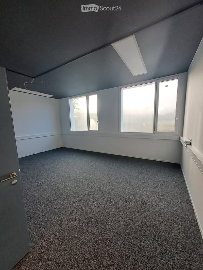 Empty room with grey carpeted floor, white walls, large windows, and a door with a silver handle.