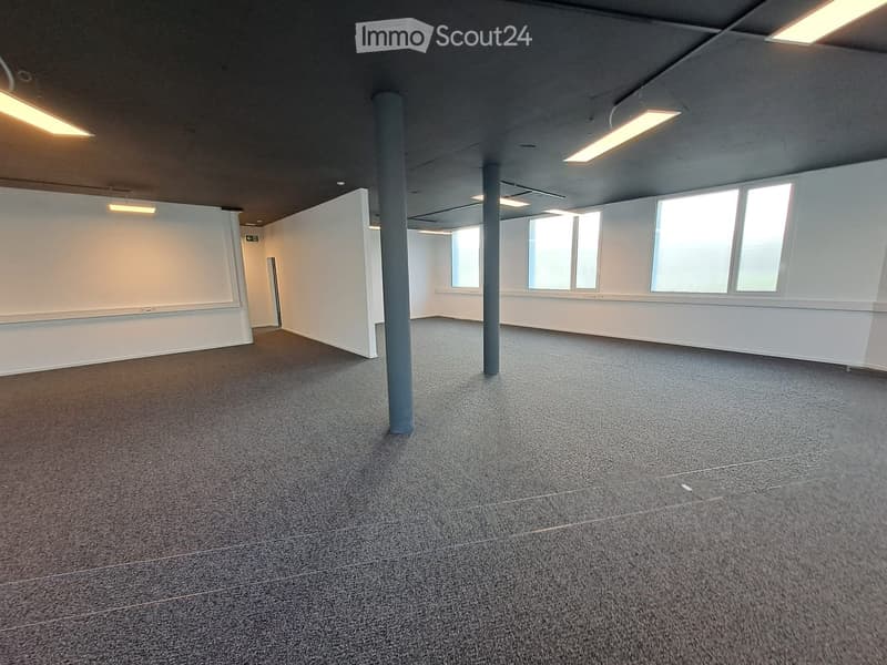 Empty room with grey carpeted floor, white walls, large windows, and structural pillars.