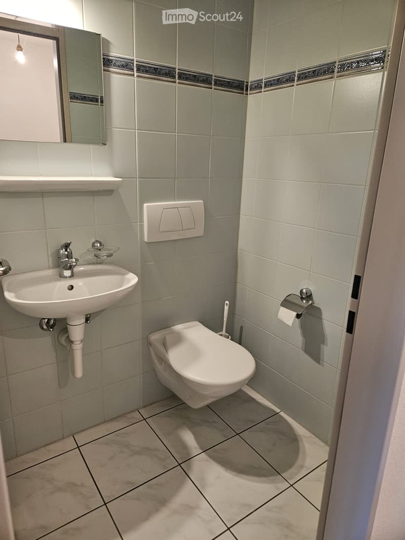 Modern bathroom with a white sink, toilet, and mirror. The walls are tiled in a light green color with a decorative border. The floor is tiled in a light beige color with black grout lines.