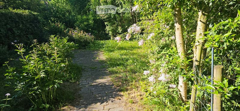 A serene garden path lined with lush greenery and blooming flowers, leading through a tranquil, shaded area.