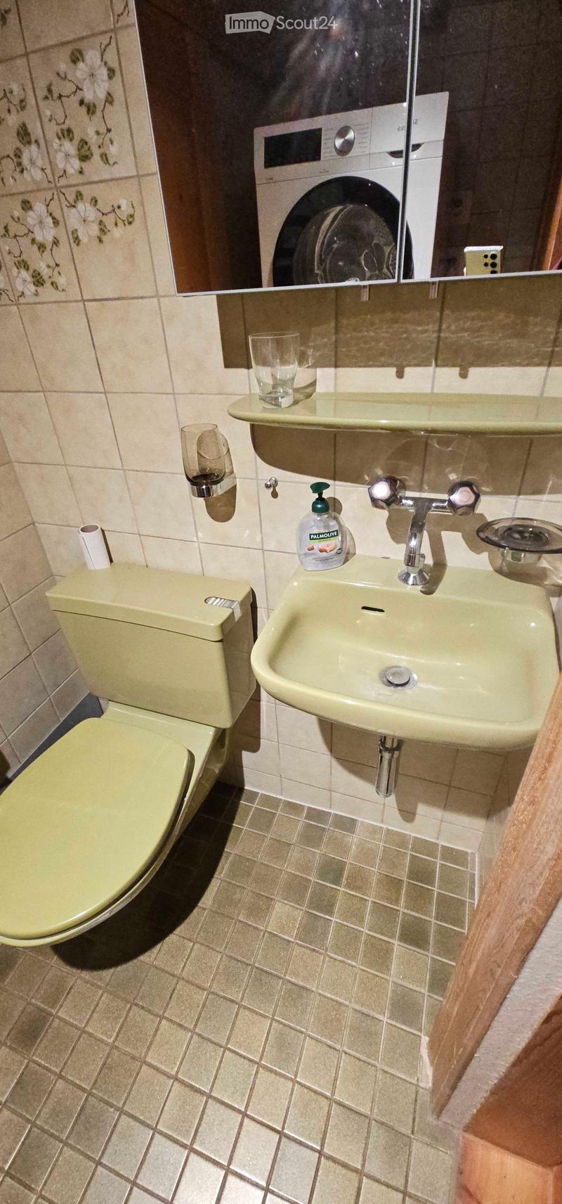 Bathroom with a light green toilet, a matching sink, a chrome faucet, a soap dispenser, and a cup on the sink counter. The walls are tiled with a floral pattern on one side.
