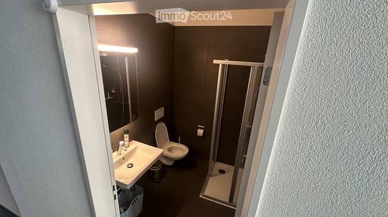 Modern bathroom with dark grey tiles, white fixtures, a shower stall, a toilet, a sink with a mirror, and a cleaning spray bottle on the sink counter.