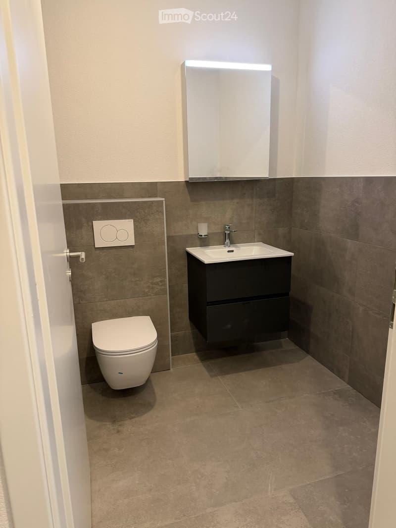 Bathroom. Modern bathroom with a white toilet, dark sink cabinet, and illuminated mirror above the sink.