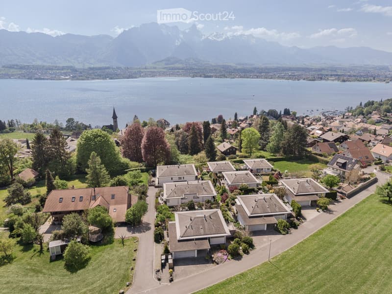 Aerial view of a residential area with houses, a lake, and mountains in the background.