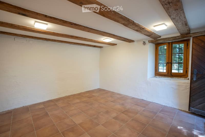 Historic lover's object in Udligenswil with separate attic apartment (25)