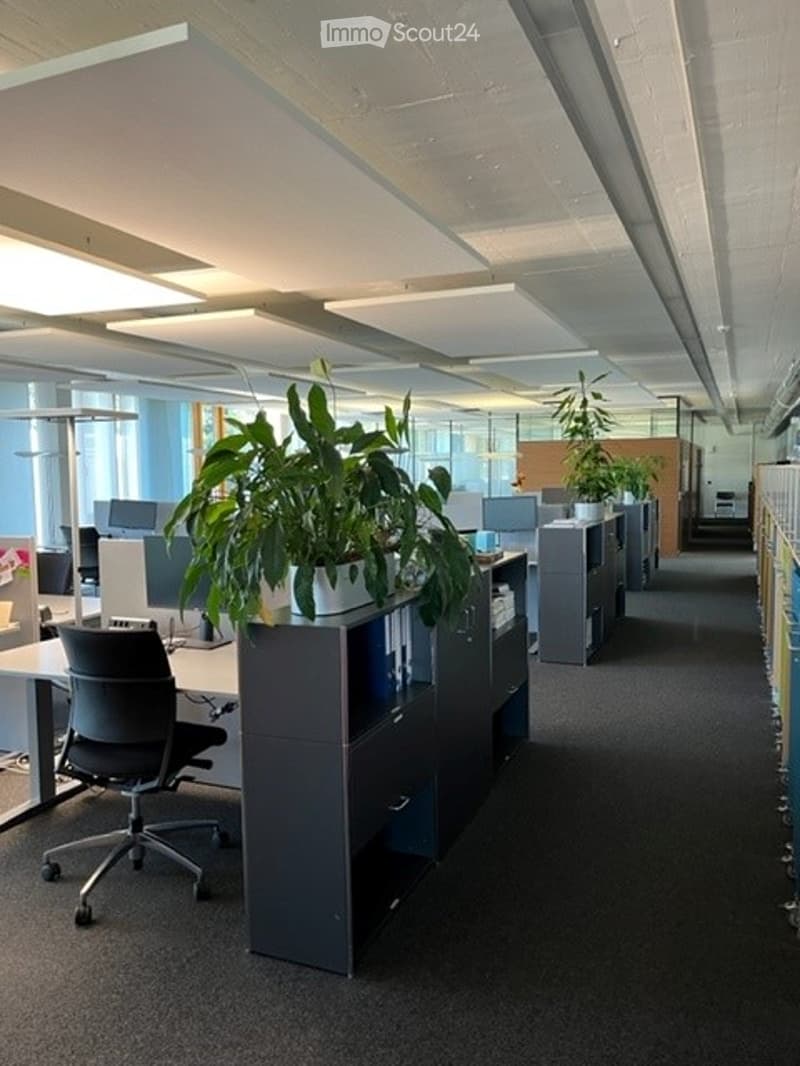 Modern office space with desks, chairs, computers, cabinets, and potted plants.