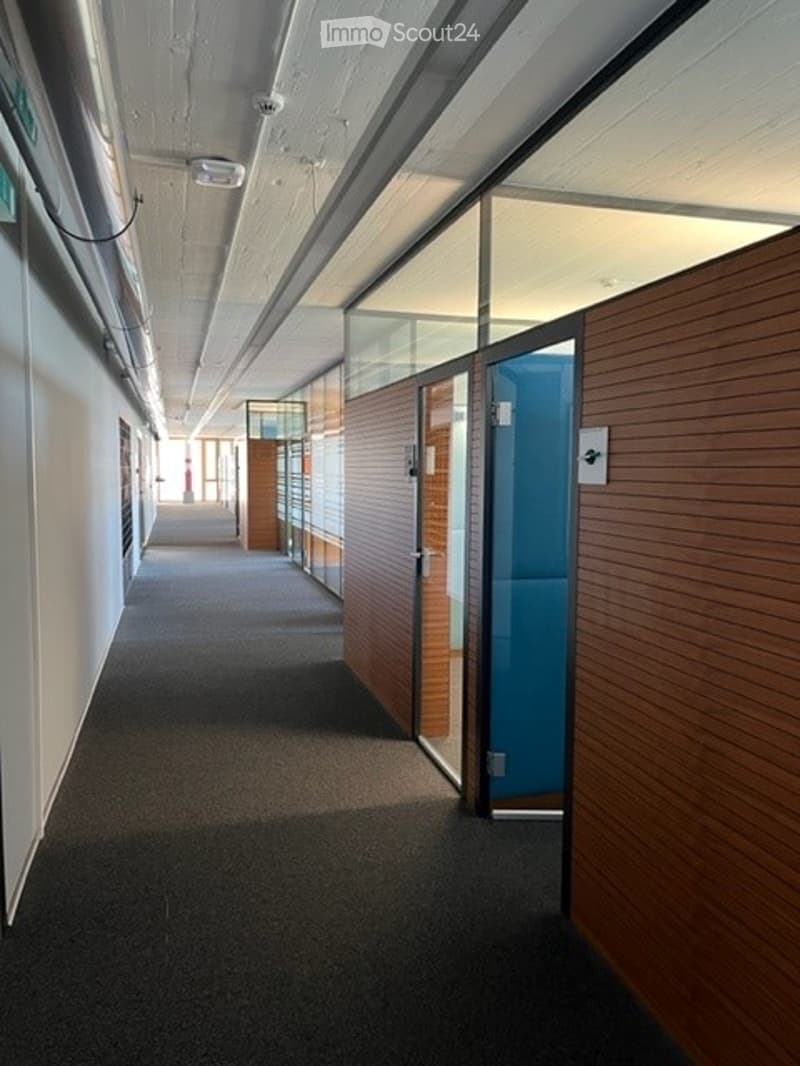 Modern hallway with glass partitions, wooden paneling, and carpeted floor. Features recessed lighting and a clean, contemporary design.