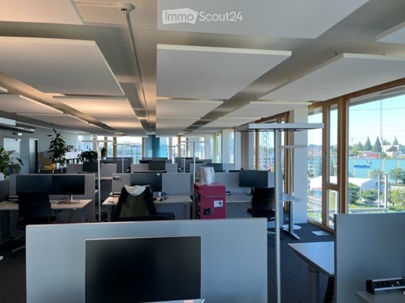 Modern office space with multiple desks, chairs, computer monitors, and plants. Large windows provide natural light, and the ceiling features recessed lighting panels.