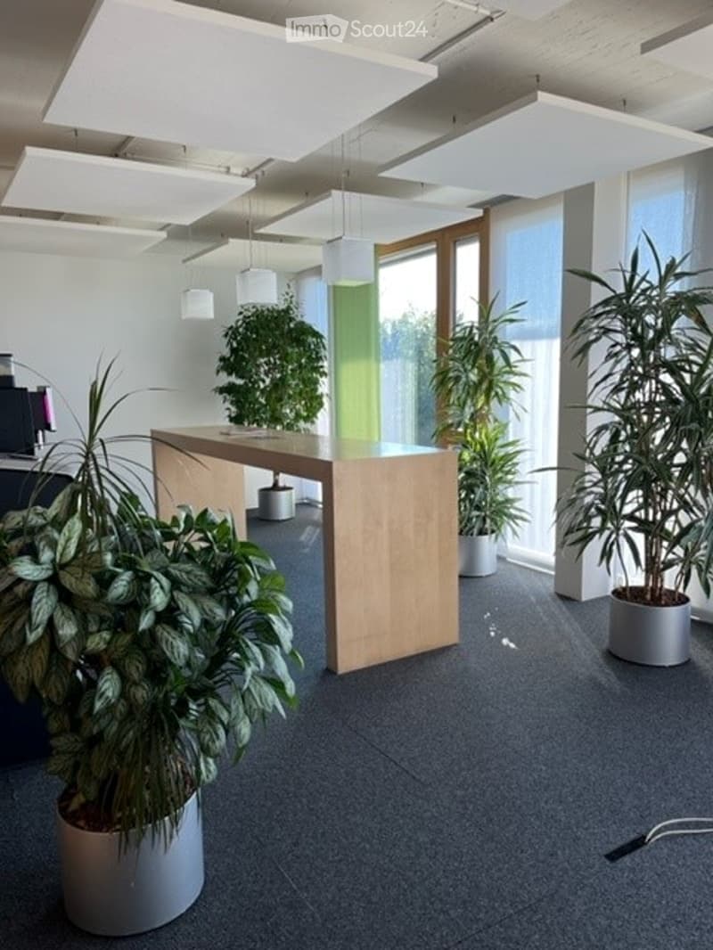 Modern office space with a reception desk, several potted plants, and pendant lights hanging from the ceiling. Large windows allow natural light to fill the room.