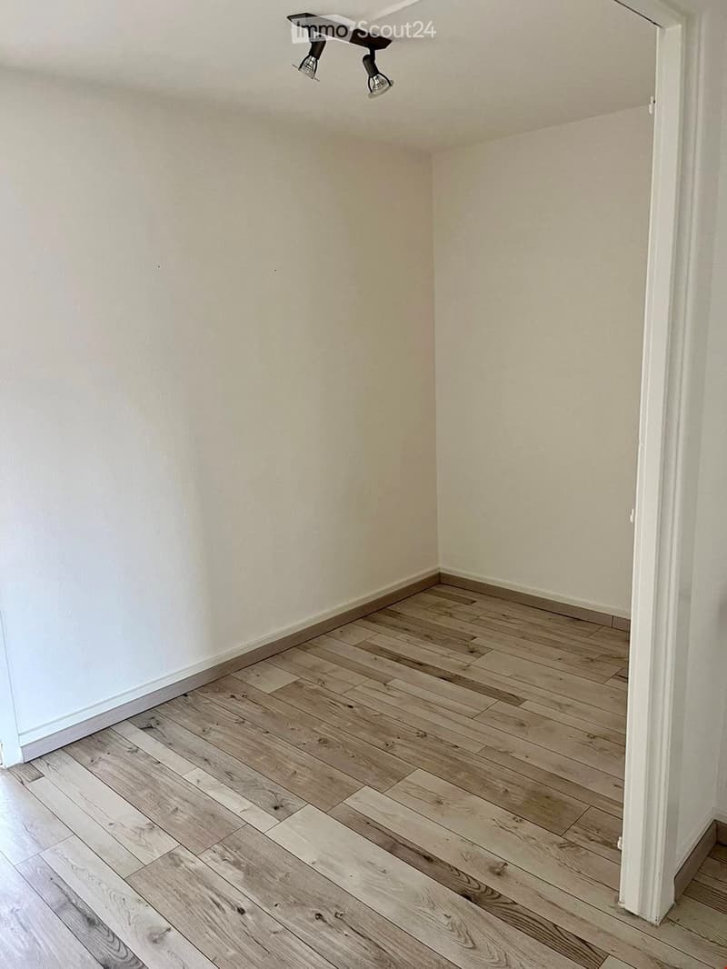 Empty room with light-colored wooden flooring and white walls, featuring a small ceiling light fixture.