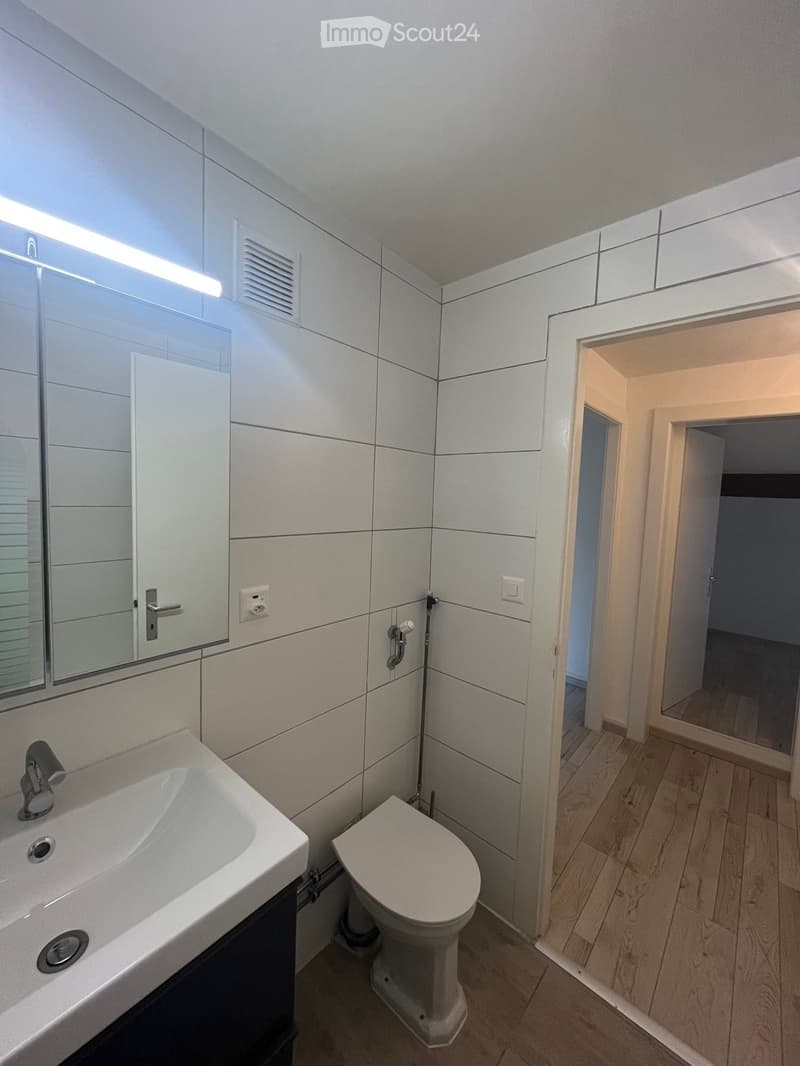 Modern bathroom with white tiles, a sink, toilet, and a large mirror. The room features a sleek design with a wooden floor visible in the adjacent area.