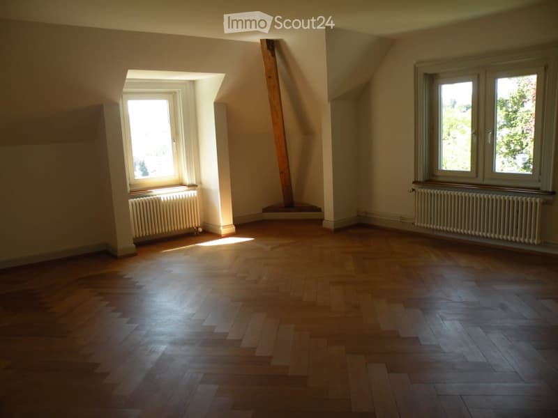 Charmante 3.5-Zimmer-Altbau-Maisonette-Wohnung an privater Strasse (17)
