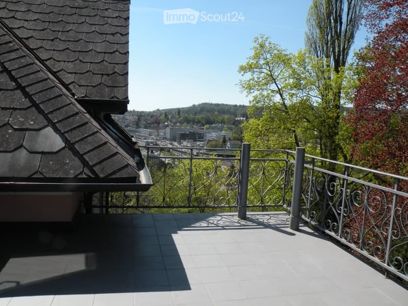 Charmante 3.5-Zimmer-Altbau-Maisonette-Wohnung an privater Strasse (6)