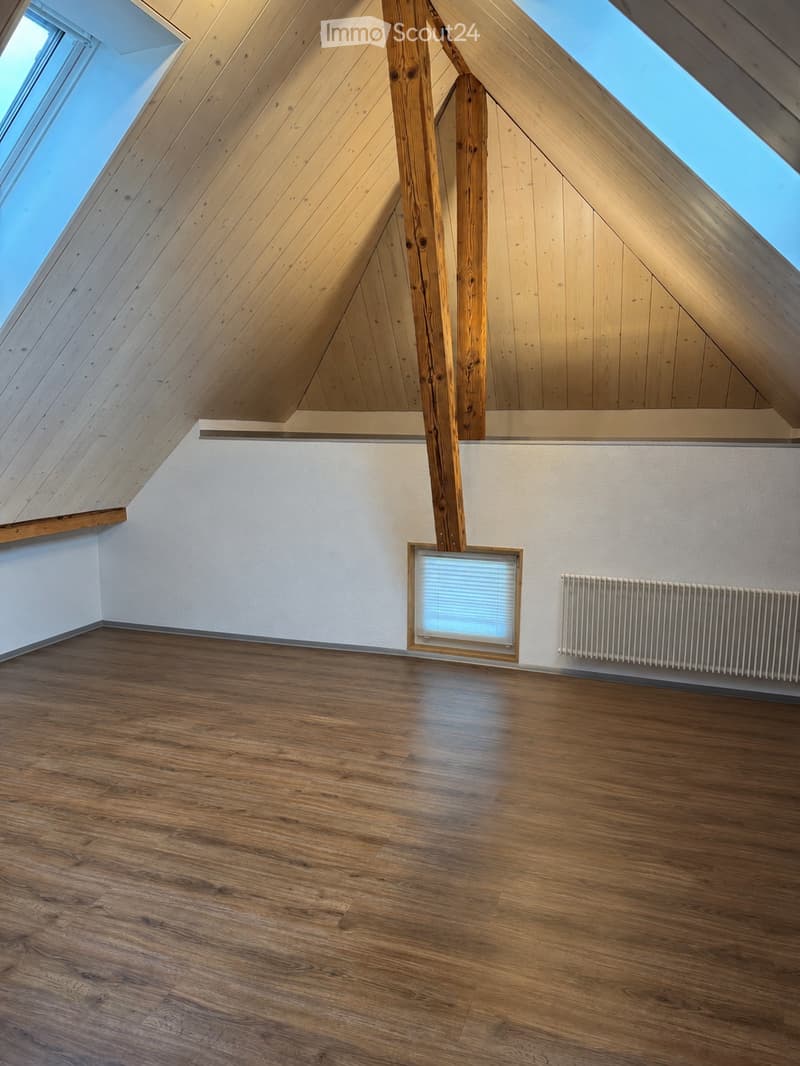 Empty attic space with wooden floors, white walls, skylights, and a radiator. No furniture or furnishings present.
