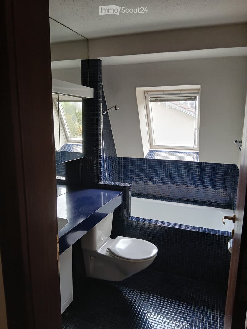 Modern bathroom with dark blue tiles, white fixtures, and two windows providing natural light.