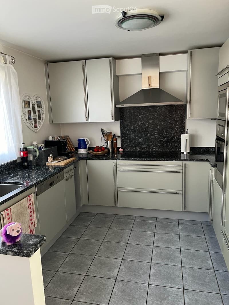 Other. {"type": "Kitchen", "objects": ["refrigerator", "oven", "dishwasher", "sink", "cabinets", "kitchen island", "coffee maker", "toaster", "faucet", "oven mitts", "oven gloves", "oven mitts", "oven gloves", "oven mitts", "oven gloves", "oven mitts", "o