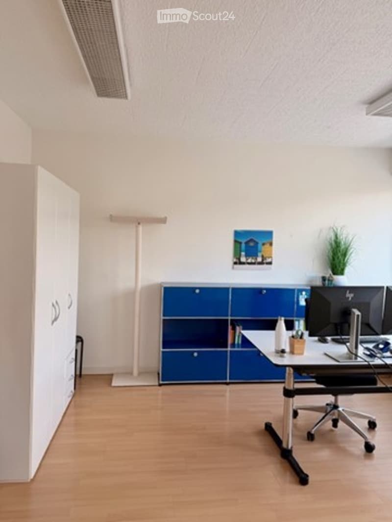 desk, monitor, lamp, storage units, shelves, cabinet, picture, plant