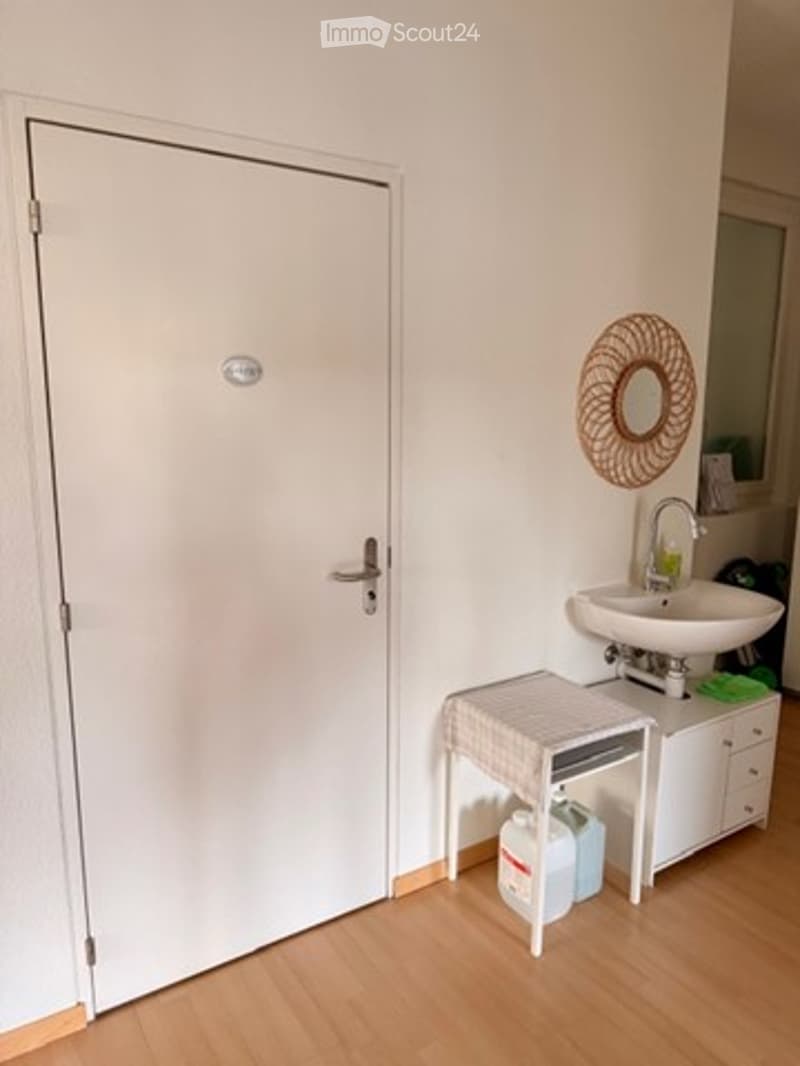 laundry room, door, sink, cabinets, washing machine, plastic bins