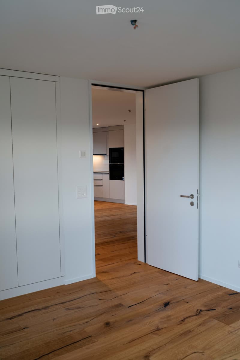 Appartamento moderno 3.5 locali a Hochdorf con balcone e bella vista (3)