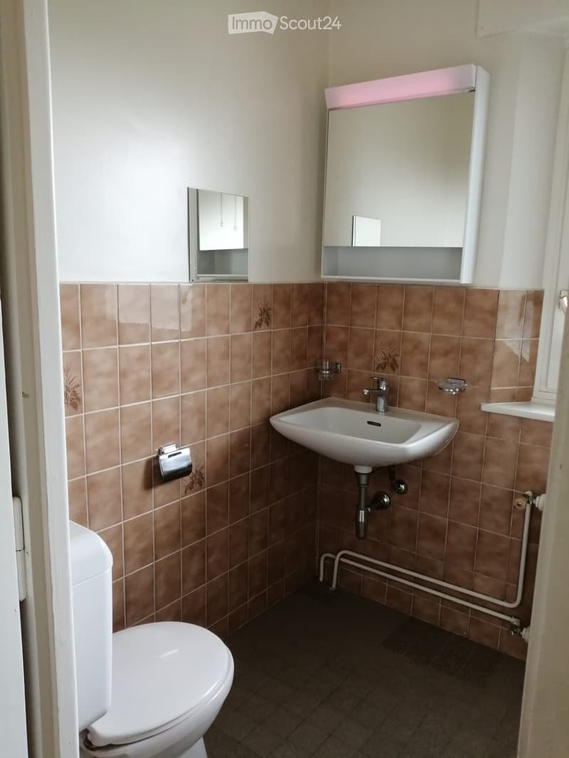 Ripreso contratto di affitto appartamento 2 locali - 1202 Ginevra (2)