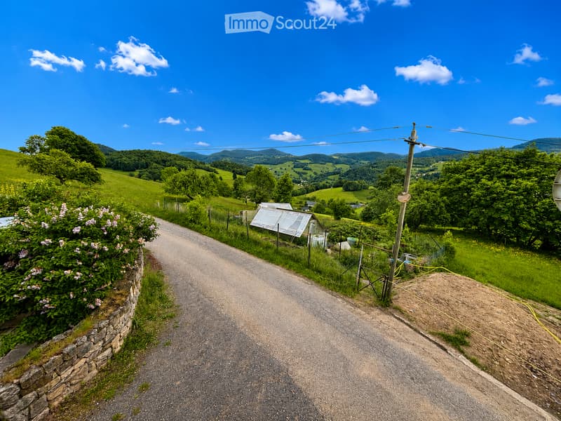 Garden / Outdoor Area. A rural road surrounded by lush green hills and trees, with a small greenhouse and a stone wall on the left side.