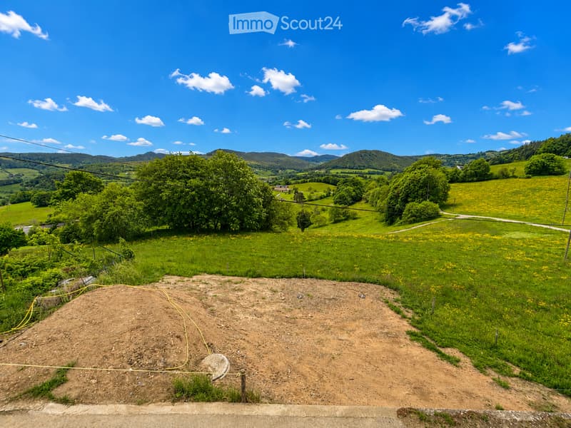 Garden / Outdoor Area. A grassy outdoor area with a dirt track, surrounded by lush green fields and distant hills under a clear blue sky.