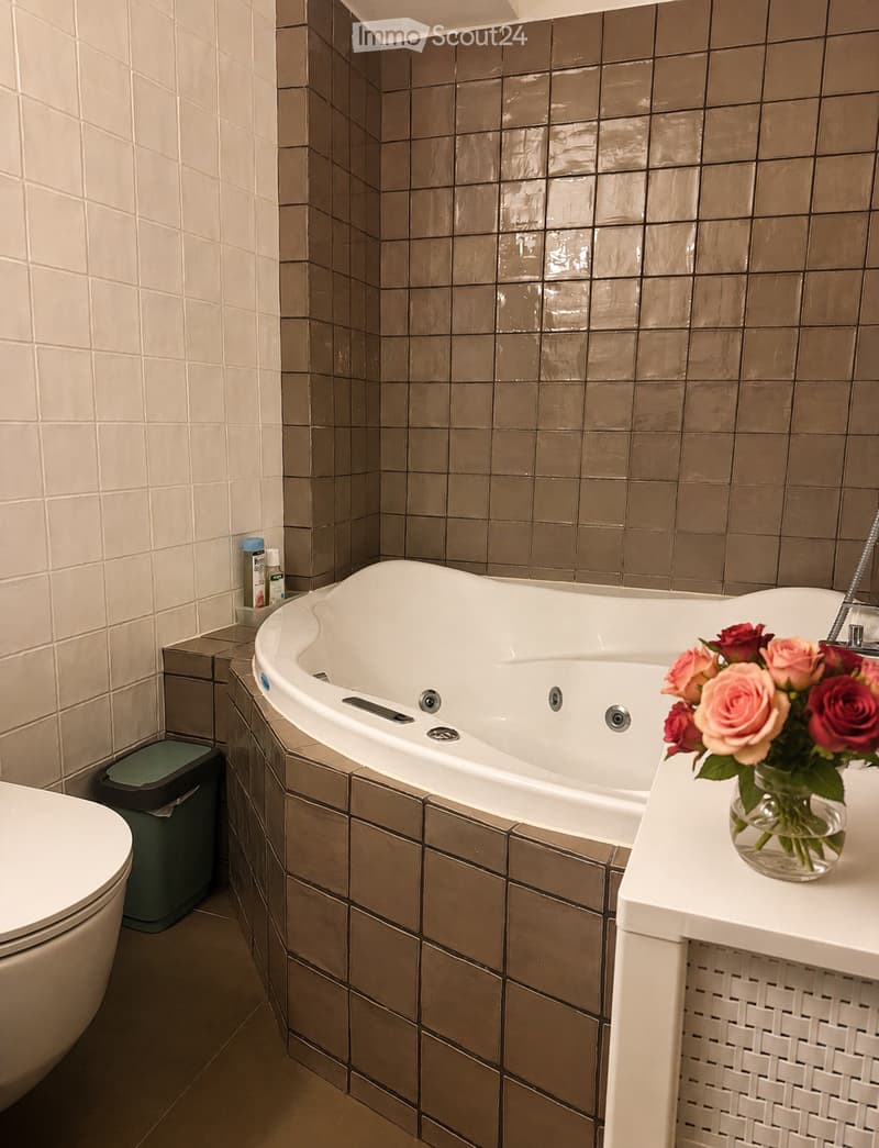 Majestic character house with 10 rooms in Moudon (5)