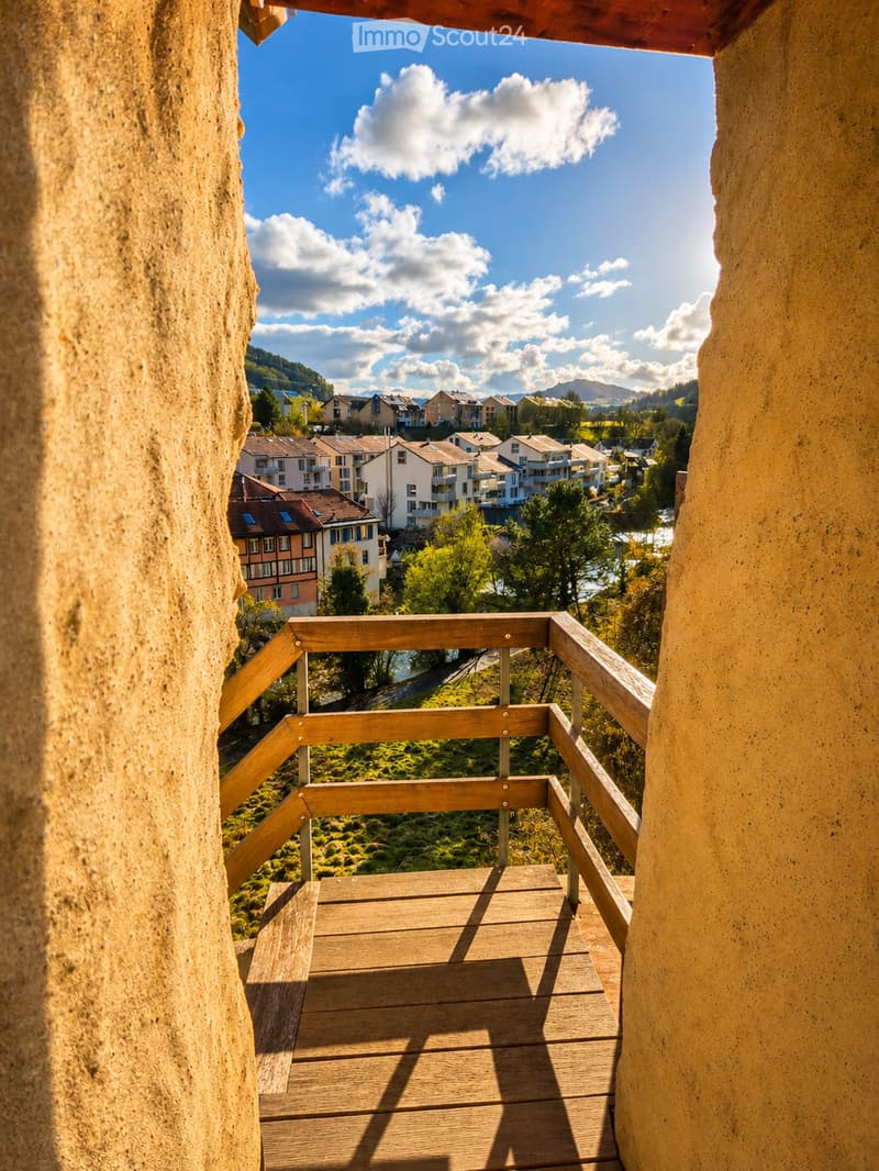 Majestic character house with 10 rooms in Moudon (8)