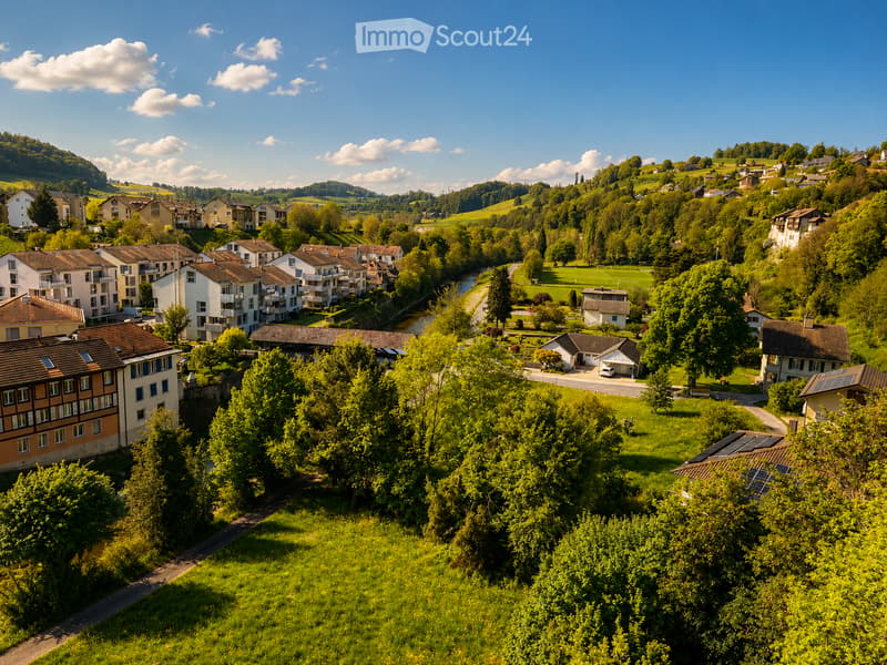 Majestic character house with 10 rooms in Moudon (6)