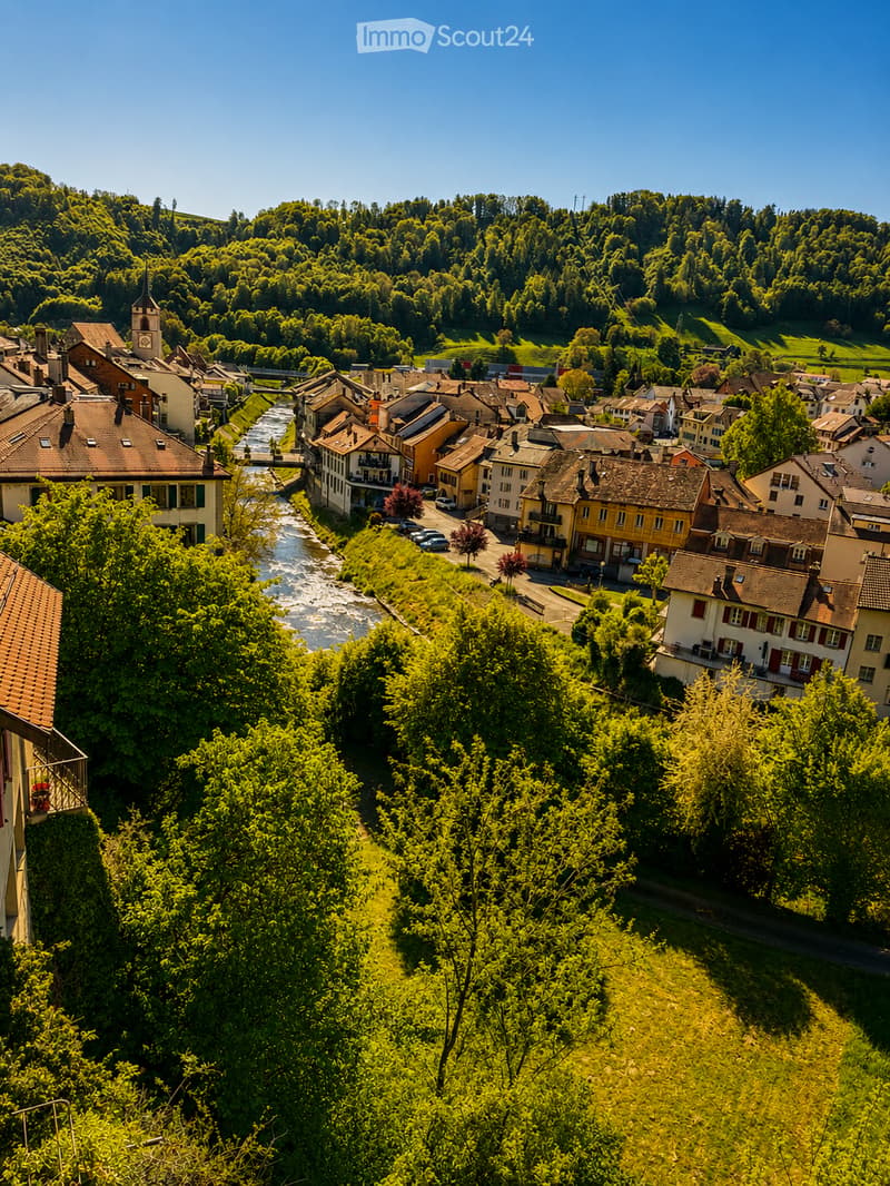 Majestic character house with 10 rooms in Moudon (9)