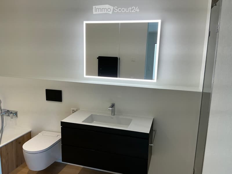 Modern bathroom with a white sink, sleek faucet, large illuminated mirror, black cabinet, toilet, and bathtub.