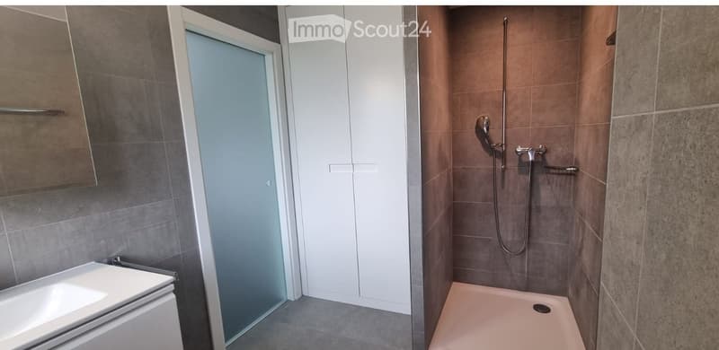 Modern bathroom with a white sink, mirror, glass shower enclosure, and a walk-in shower with a handheld showerhead and rail.