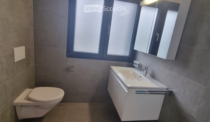 Modern bathroom with a white toilet, a white sink with a chrome faucet, and a mirrored cabinet above the sink. The room features grey tiled walls and a large window with frosted glass.