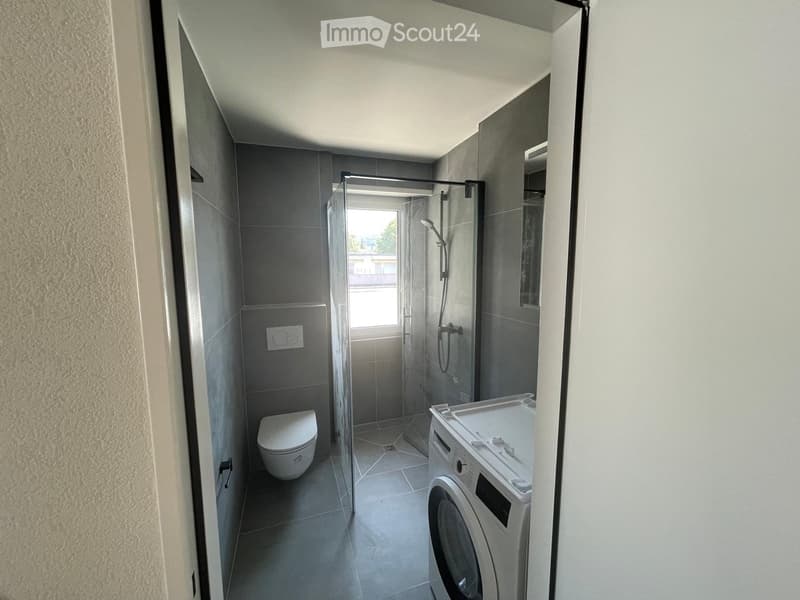 Modern bathroom with grey tiles, a toilet, a glass-enclosed shower, and a washing machine.