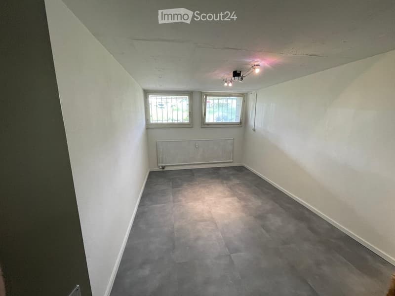Empty room with grey carpeted floor, white walls, two windows with metal bars, radiator, and ceiling light fixture.
