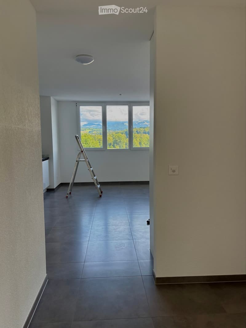 Unfurnished Room. Empty room with tiled floor, large windows showing a scenic view, and a ladder placed near the windows.