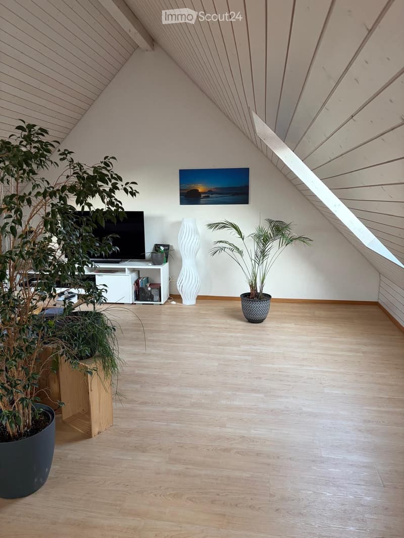 Bel appartement duplex avec vue sur le vert (4)